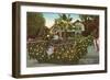 Vintage Rose Parade, Pasadena, California-null-Framed Art Print