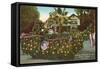 Vintage Rose Parade, Pasadena, California-null-Framed Stretched Canvas