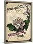 Vintage Rose Seed Packet-null-Mounted Giclee Print