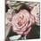 Vintage Rose-Elizabeth Hellman-Mounted Art Print