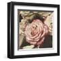 Vintage Rose-Elizabeth Hellman-Framed Giclee Print