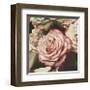 Vintage Rose-Elizabeth Hellman-Framed Giclee Print