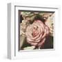 Vintage Rose-Elizabeth Hellman-Framed Giclee Print