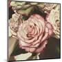 Vintage Rose-Elizabeth Hellman-Mounted Giclee Print