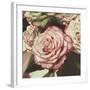 Vintage Rose-Elizabeth Hellman-Framed Art Print