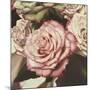Vintage Rose-Elizabeth Hellman-Mounted Art Print
