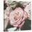 Vintage Rose-Elizabeth Hellman-Stretched Canvas