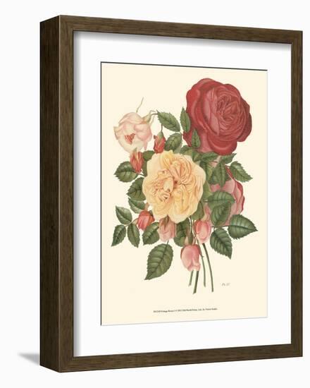 Vintage Roses I-null-Framed Art Print