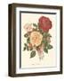 Vintage Roses I-null-Framed Art Print