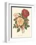 Vintage Roses I-null-Framed Art Print