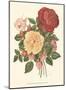 Vintage Roses I-null-Mounted Art Print