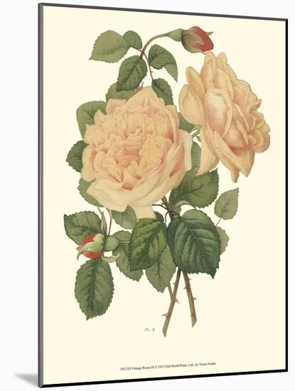 Vintage Roses III-Vision Studio-Mounted Art Print