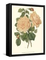 Vintage Roses III-Vision Studio-Framed Stretched Canvas