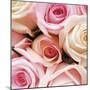 Vintage Roses-Pete Kelly-Mounted Giclee Print