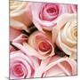 Vintage Roses-Pete Kelly-Mounted Giclee Print