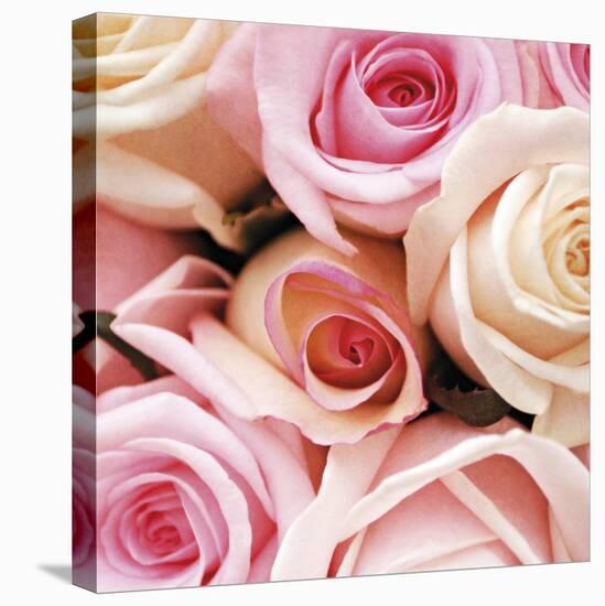 Vintage Roses-Pete Kelly-Stretched Canvas