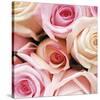 Vintage Roses-Pete Kelly-Stretched Canvas