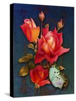 Vintage Roses-Tina Lavoie-Stretched Canvas