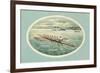 Vintage Rowing Crew Illustration-null-Framed Premium Giclee Print