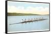 Vintage Rowing Crew-null-Framed Stretched Canvas