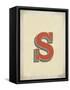 Vintage S-Kindred Sol Collective-Framed Stretched Canvas