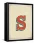 Vintage S-Kindred Sol Collective-Framed Stretched Canvas