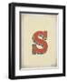 Vintage S-Kindred Sol Collective-Framed Art Print