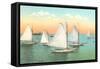 Vintage Sailboats-null-Framed Stretched Canvas