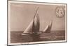 Vintage Sailing I Sepia-Wild Apple Portfolio-Mounted Premium Giclee Print