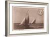 Vintage Sailing I Sepia-Wild Apple Portfolio-Framed Art Print