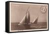 Vintage Sailing I Sepia-Wild Apple Portfolio-Framed Stretched Canvas