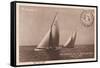 Vintage Sailing I Sepia-Wild Apple Portfolio-Framed Stretched Canvas