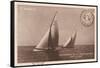Vintage Sailing I Sepia-Wild Apple Portfolio-Framed Stretched Canvas