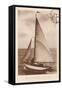 Vintage Sailing II Sepia-Wild Apple Portfolio-Framed Stretched Canvas