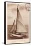 Vintage Sailing II Sepia-Wild Apple Portfolio-Framed Stretched Canvas