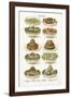 Vintage Salad-The Vintage Collection-Framed Giclee Print