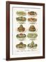 Vintage Salad-The Vintage Collection-Framed Giclee Print