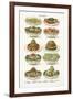 Vintage Salad-The Vintage Collection-Framed Giclee Print