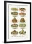 Vintage Salad-The Vintage Collection-Framed Giclee Print