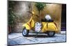Vintage Sccooter With a Small Tree Parked along a House, Pienza, Tuscany, Italy-George Oze-Mounted Photographic Print