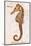 Vintage Seahorse, Hippocampus Hilonis, Sea Horse-Christine Zalewski-Mounted Art Print