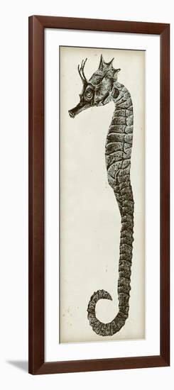 Vintage Seahorse I-null-Framed Art Print