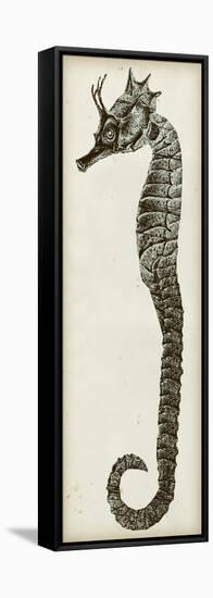 Vintage Seahorse I-null-Framed Stretched Canvas