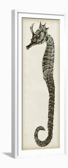 Vintage Seahorse I-null-Framed Premium Giclee Print