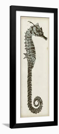 Vintage Seahorse II-null-Framed Art Print