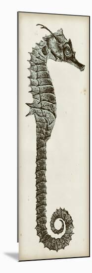 Vintage Seahorse II-null-Mounted Art Print