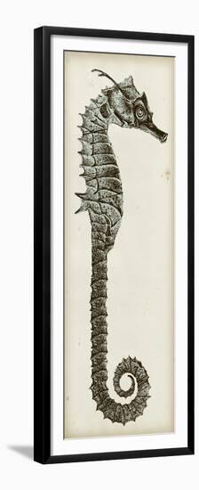 Vintage Seahorse II-null-Framed Premium Giclee Print