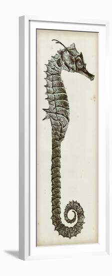 Vintage Seahorse II-null-Framed Premium Giclee Print