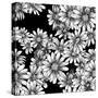 Vintage Seamless Monochrome Pattern with Daisies-Varvara Kurakina-Stretched Canvas