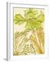 Vintage Seaweed Collection I-Melissa Wang-Framed Art Print